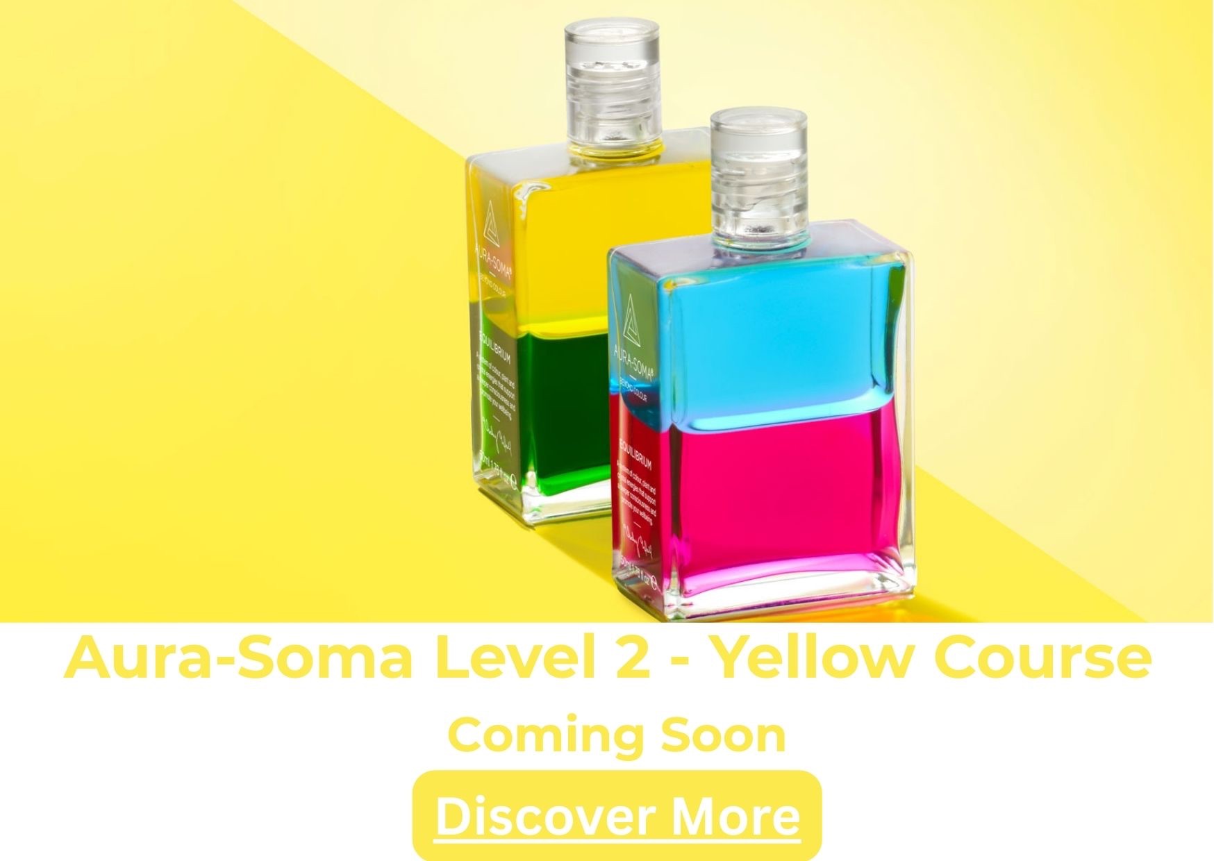 Level 2